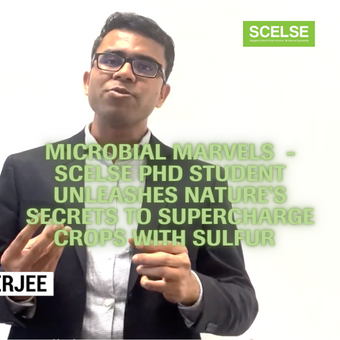 SCELSE PhD student unleashes nature’s secret to supercharge crops with sulphur