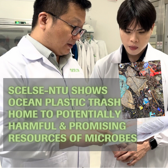 SCELSE-NTU shows ocean plastic trash home to potentially harmful & promising resources of microbes