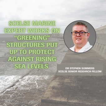 SCELSE marine expert works on “greening” structures put up to protect against rising sea levels