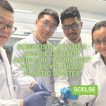 Scientists at NTU & SCELSE develop artificial ‘worm gut’ for upcycling of plastic wastes