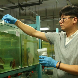 From streams to breakthroughs: SCELSE’s expert shares his aquaculture journey in Lianhe Zaobao