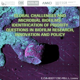 Global Challenges and Microbial Biofilms: Setting Future Research, Innovation, and Policy Agendas