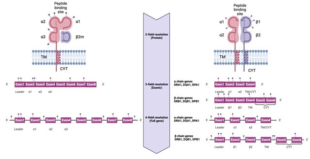 L’Oréal-SCELSE Joint Lab