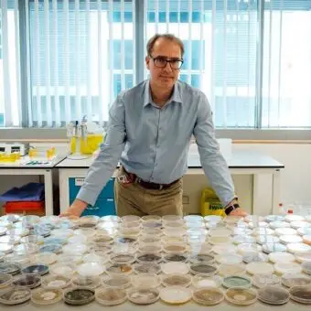 A whiff of the tropics: airborne microbiota in tropical atmosphere follow precise diel cycle