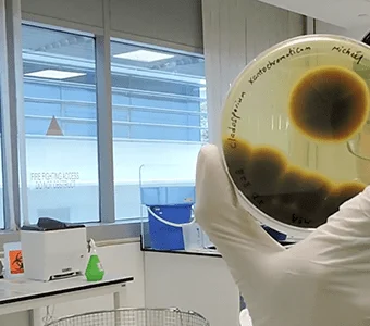 Overturning the biggest myth of basic research