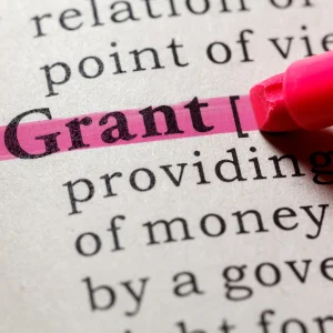 SCELSE-GPA Workshop: Writing My First Grant Proposal