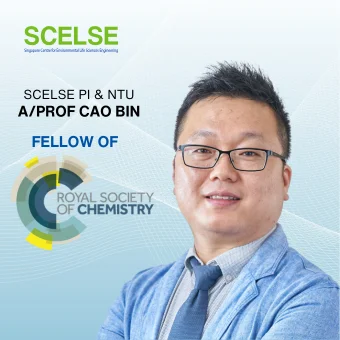 Congrats SCELSE PI & NTU A/Prof Cao Bin for being elected Fellow of the Royal Society of Chemistry