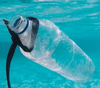 Using microbes against microplastics