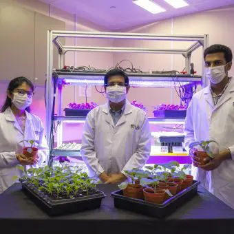 SCELSE researchers identify micro-organisms that could help vegetables grow