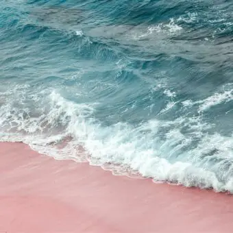 Weighing in on Sentosa Cove’s perplexing pink canal waters