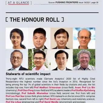 SCELSE Centre Director in Clarivate Analytics’ 2020 list of Highly Cited Researchers