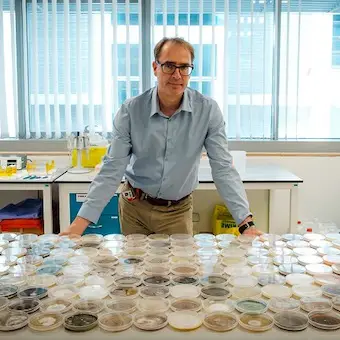 The air that we breathe: Bacteria and fungi show a precise daily rhythm in tropical air, finds NTU Singapore study