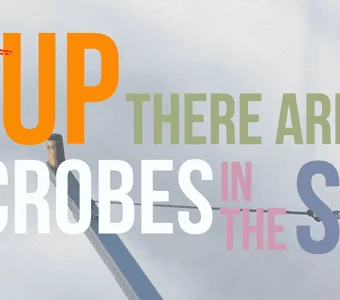 (Don’t) look up – there are microbes in the sky!