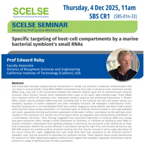 Specific targeting of host-cell compartments by a marine bacterial symbiont’s small RNAs