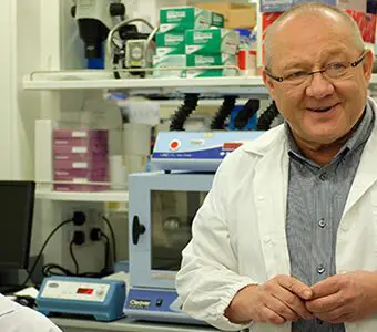 Transplanted gut microbes support neural growth in mice and may have an effect on ageing