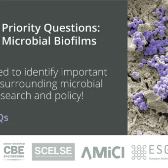 Priority questions: Microbial biofilms